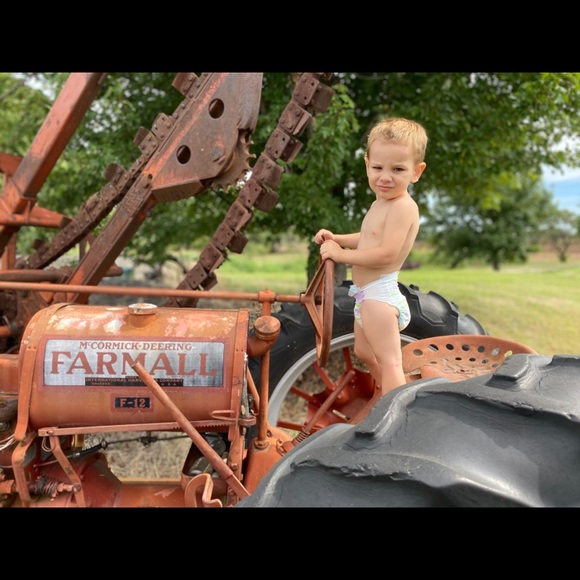 Meet your Posher, Brandelle - Picture 3 of 5